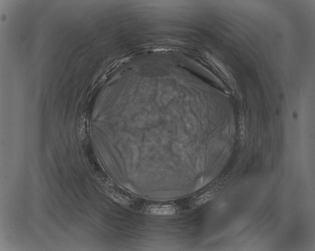 X0000081470169200702021841