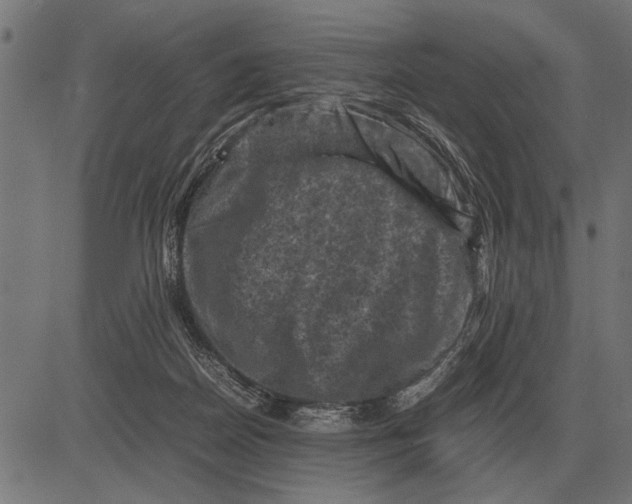 X0000081470170200702021841