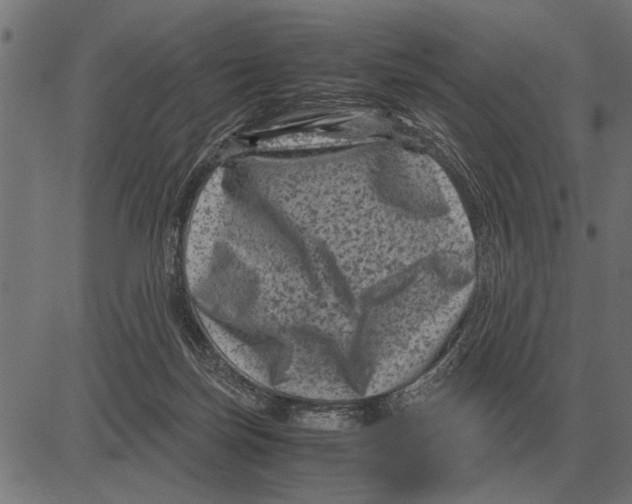 X0000081470171200702021841