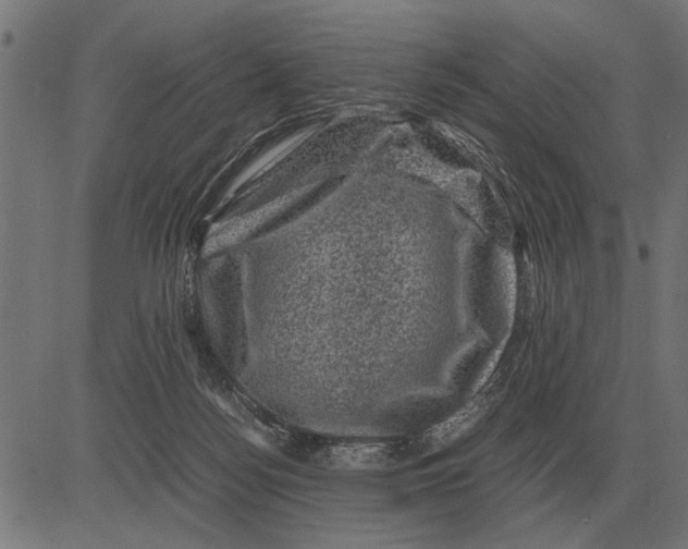 X0000081470172200702021841