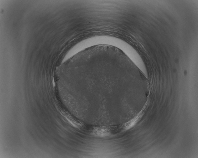 X0000081470174200702021841