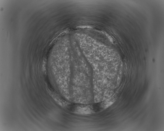 X0000081470175200702021841