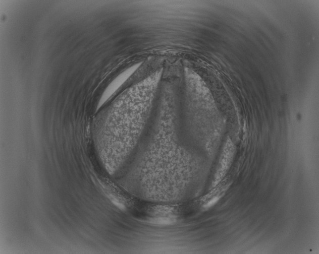 X0000081470176200702021841