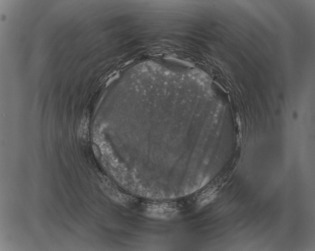 X0000081470177200702021841