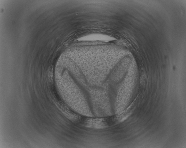 X0000081470179200702021841