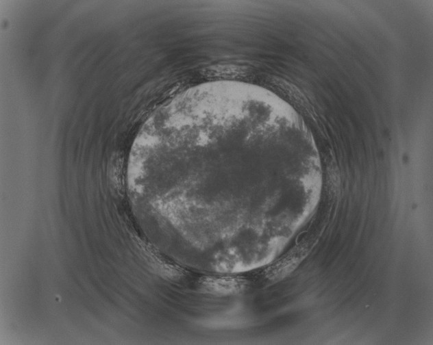 X0000081470181200702021841