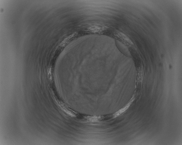 X0000081470182200702021841