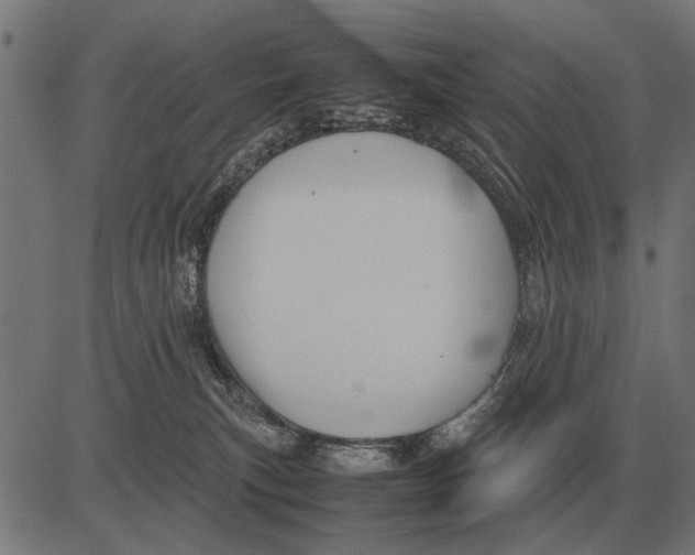 X0000081470183200702021841