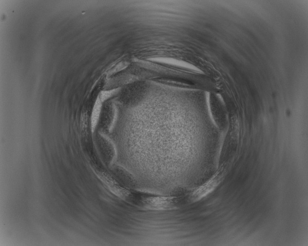 X0000081470184200702021841