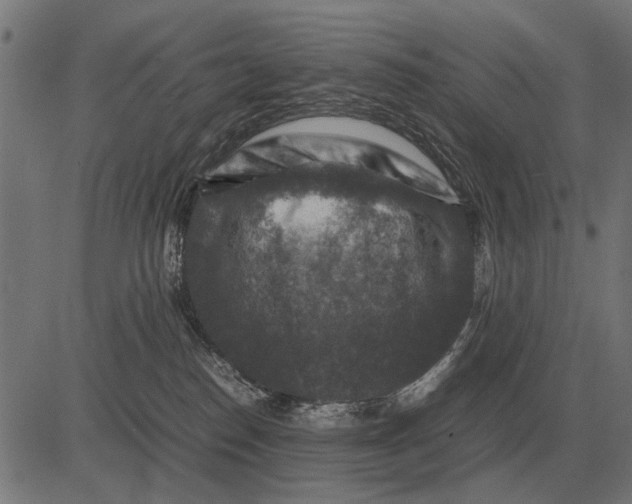 X0000081470186200702021841