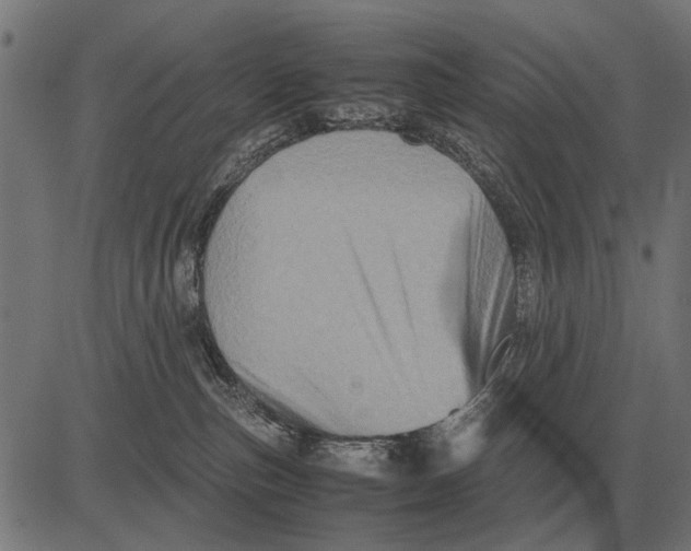 X0000081470187200702021841