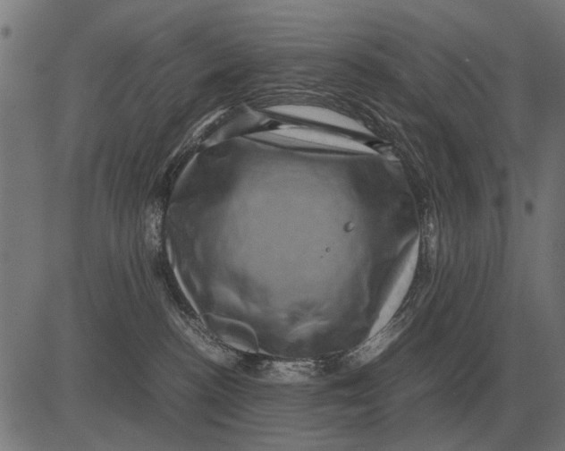 X0000081470188200702021841