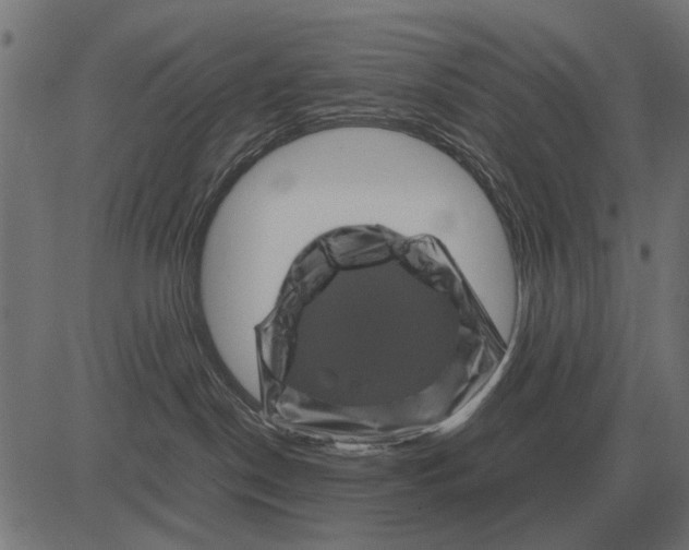 X0000081470190200702021841