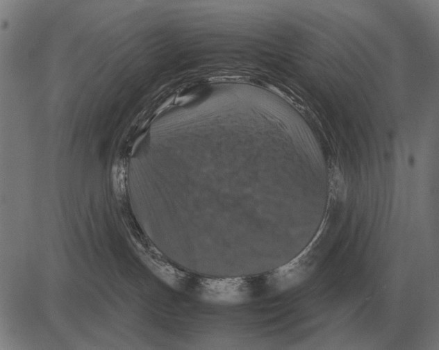 X0000081470191200702021841