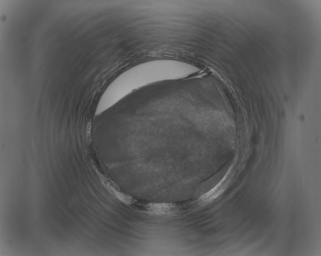 X0000081470192200702021841