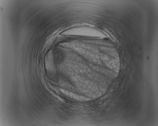 X0000081470193200702021841