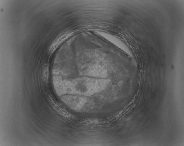 X0000081470194200702021841