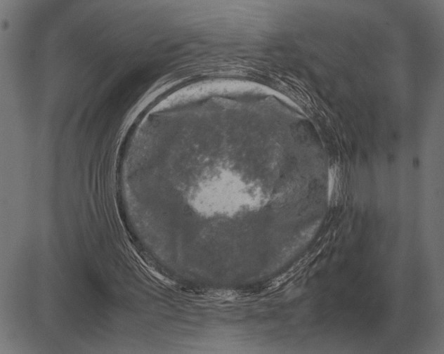 X0000081470195200702021841