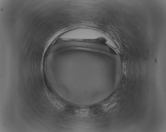 X0000081470196200702021841