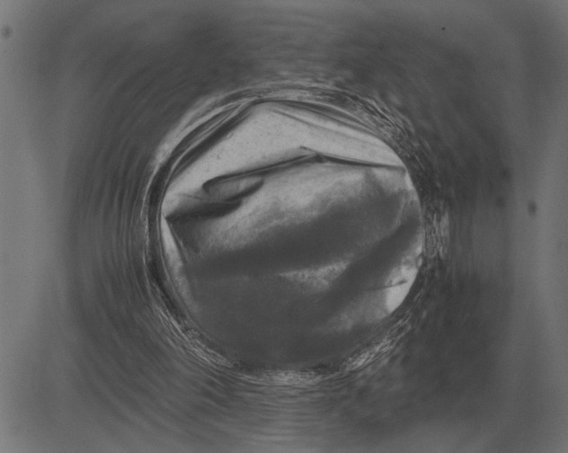 X0000081470198200702021841