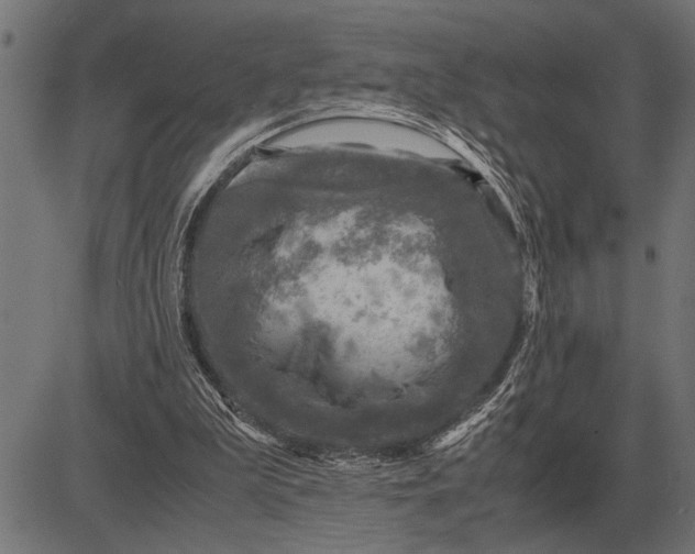 X0000081470199200702021841