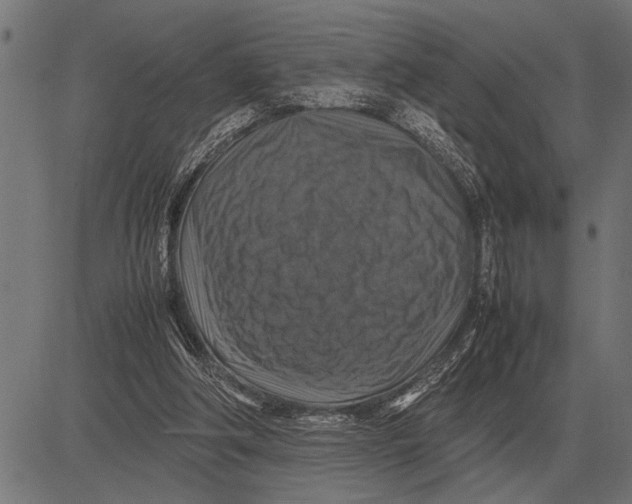 X0000081470202200702021841