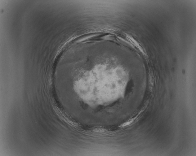 X0000081470203200702021841