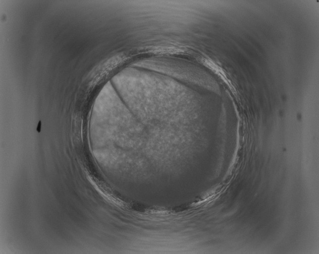 X0000081470205200702021840