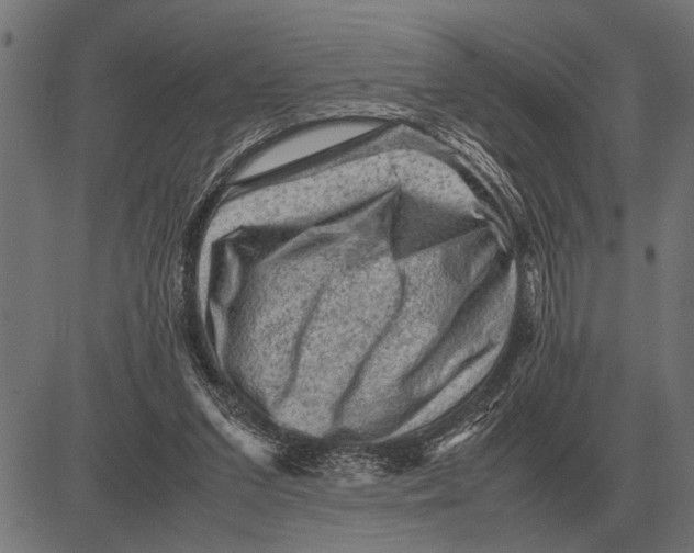 X0000081470207200702021840