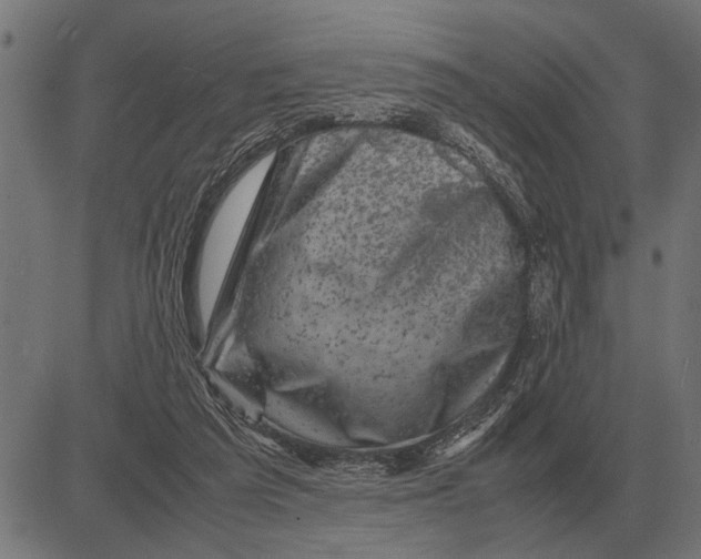 X0000081470209200702021840