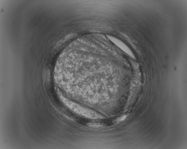 X0000081470211200702021840