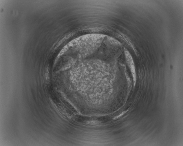 X0000081470212200702021840