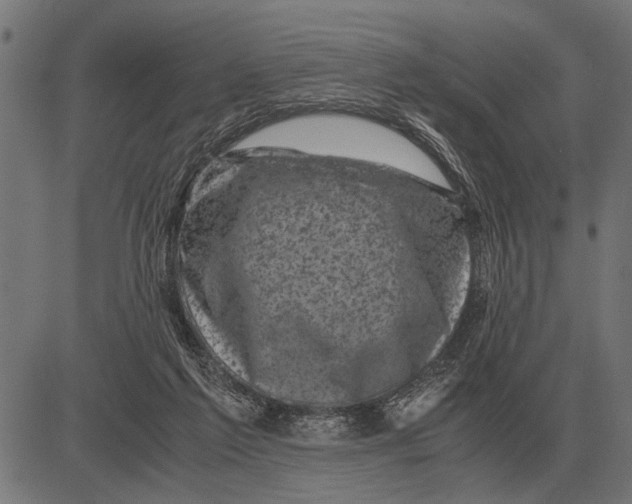 X0000081470213200702021840