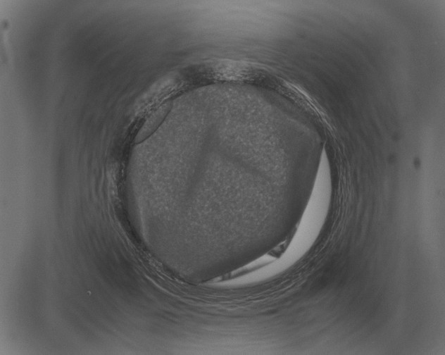 X0000081470217200702021840