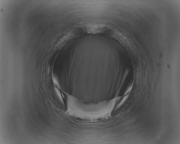 X0000081470219200702021840