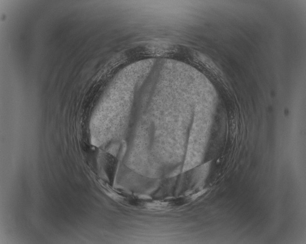 X0000081470221200702021840