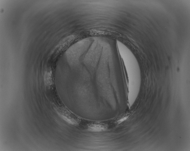 X0000081470224200702021840