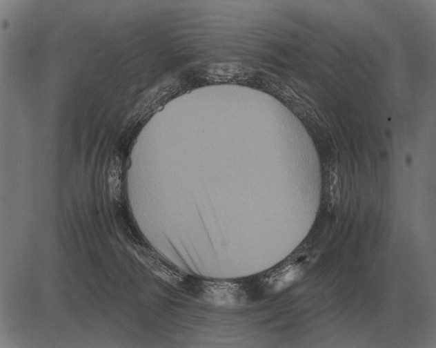 X0000081470226200702021840