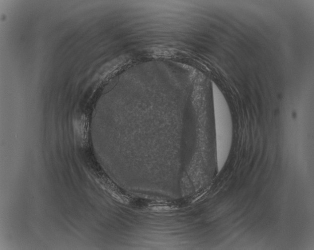 X0000081470228200702021840