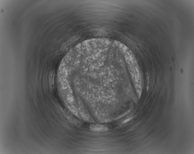 X0000081470230200702021840