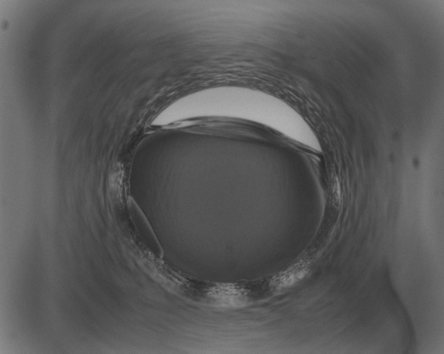 X0000081470231200702021840