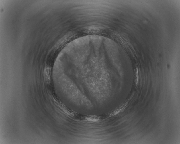 X0000081470232200702021840