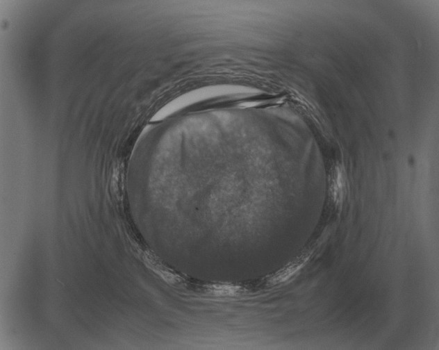 X0000081470233200702021840