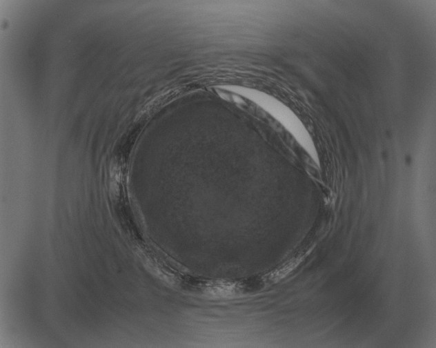 X0000081470235200702021840