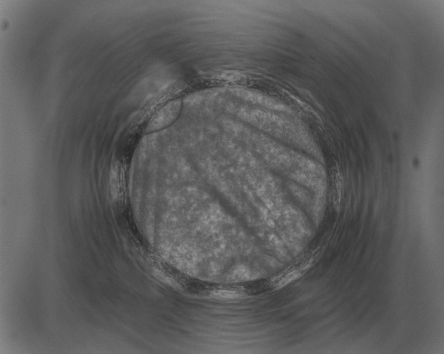 X0000081470236200702021840