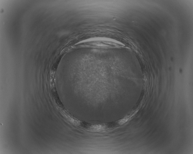 X0000081470237200702021840