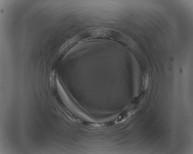 X0000081470239200702021840