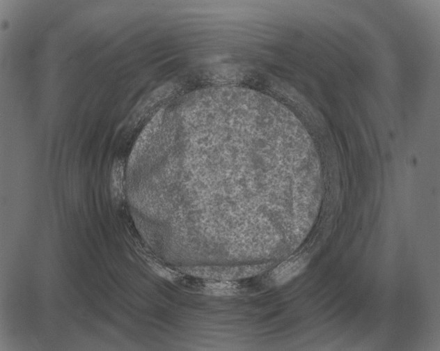 X0000081470240200702021840