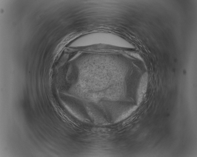 X0000081470242200702021839