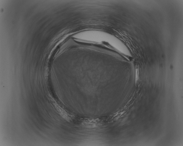 X0000081470243200702021839